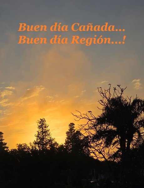 WhatsApp Image 2026-03-30 at 07.36.36.jpeg