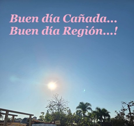 WhatsApp Image 2026-03-31 at 08.49.33.jpeg