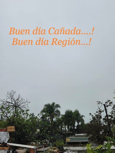 WhatsApp Image 2026-04-07 at 08.54.53.jpeg