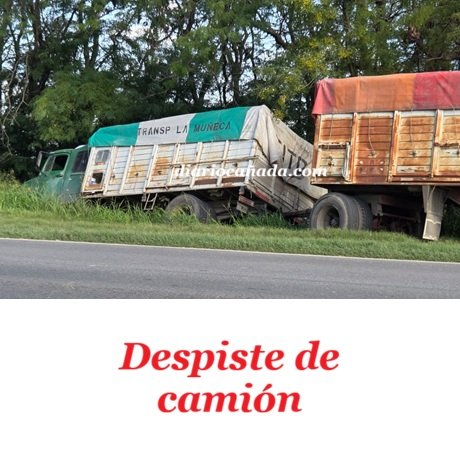 WhatsApp Image 2026-04-10 at 16.27.16.jpeg