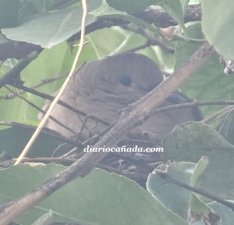 WhatsApp Image 2026-04-11 at 10.11.26.jpeg