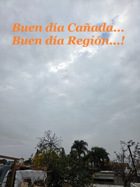 WhatsApp Image 2026-05-05 at 09.58.13.jpeg