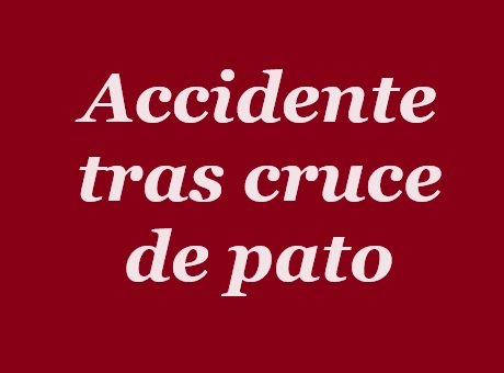 accidepato.jpg
