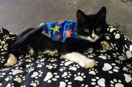 b7cfa4f1-4cfc-43c8-b724-77d3b885877e (1).jpg