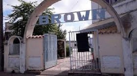 brown.jpg