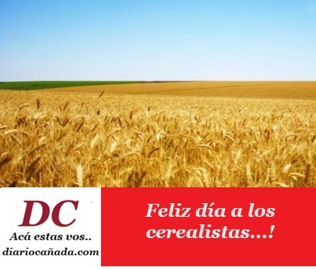 ceralistas.jpg
