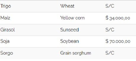 cereales 14092022.jpg