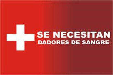 dadores de sangre.jpeg