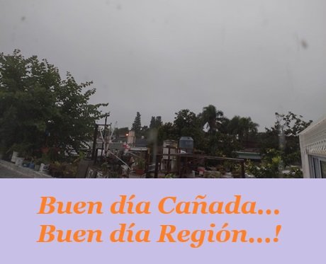 ddb46335-058a-4dd2-8036-6472cd336ffb.jpg