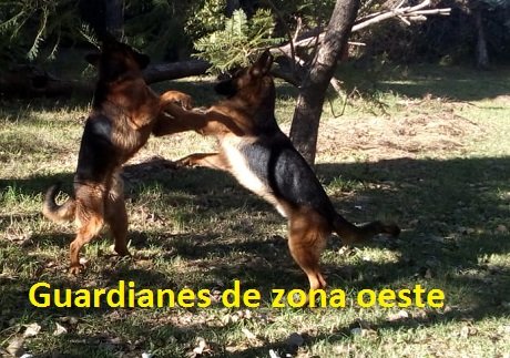 dos jugando oeste.jpg