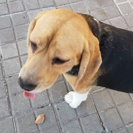 ee090d14-1855-4797-b326-b45ae62edfe4 (1).jpeg