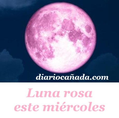 este_es_el_curioso_significado_de_la_luna_rosa_de_abril_7624_2_600.jpg