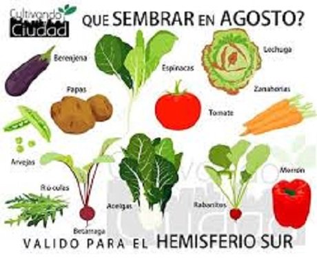 huertaagosto.jpg