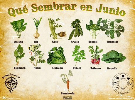 junio202huerta.jpg