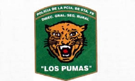 los pumas.jpg