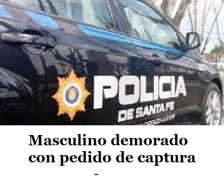 mascdemorado.jpg