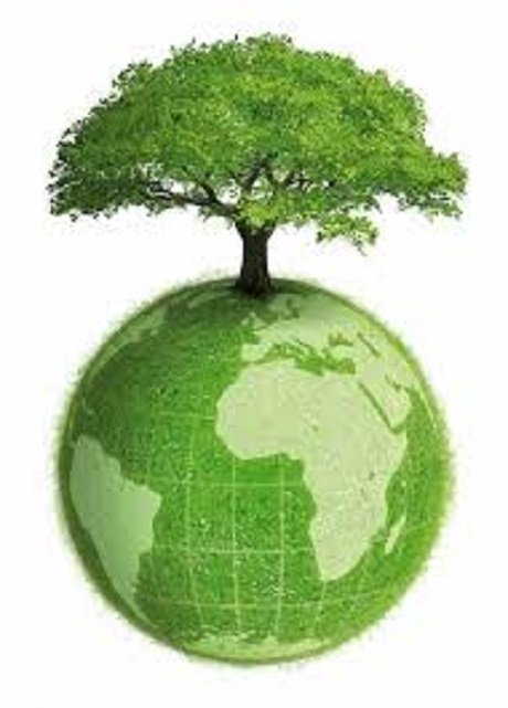 medioambiente.jpg