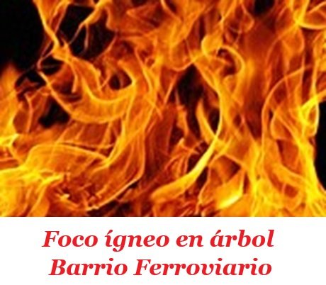 pastizalesmadrugadaferro.jpg