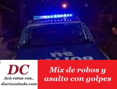policemixrobo.jpg