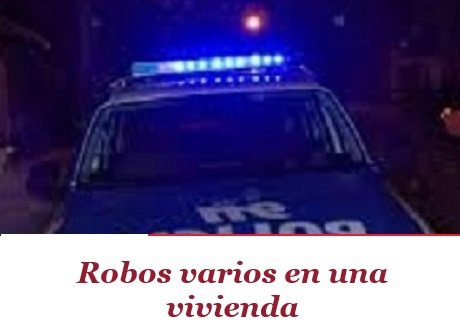 policerobosvarios.jpg