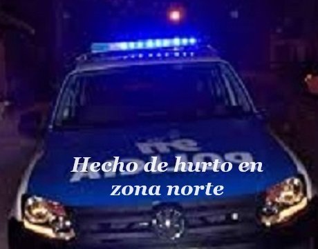 policiahechodehurto.jpg
