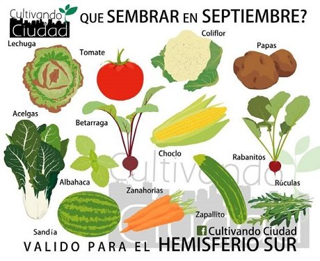 que-sembrar-en-setiembre-624x510.jpg