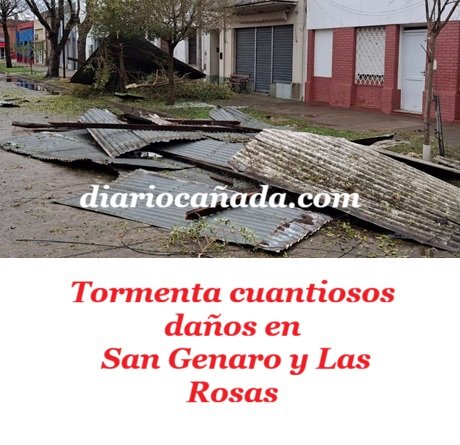 sangenarolasrosas.jpg