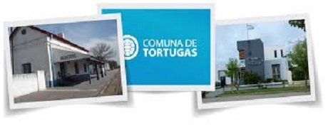 tortugas150.jpg